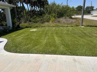 Dorothy D.'s Lawn Care service result