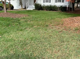 Leaf Removal by Jamel Evans for Fred F. in Chesterfield, VA
