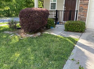 Bush Trimming by Quincy D. for Devin R. in Charlotte, NC