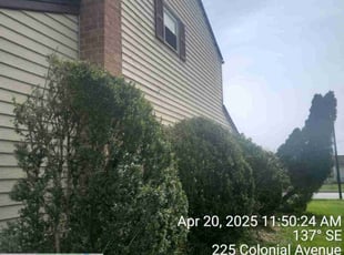 Bush Trimming by Adam Smith Kateera for Marta J. in Eagleville, PA