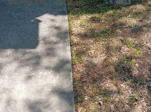 Bush Trimming by Adrian Mitchell for Dany O. in Dacula, GA