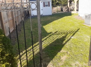 Leaf Removal by Ronnell Leak for Rob G. in Washington, DC