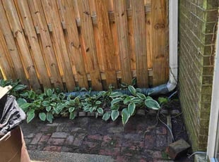 Cleanups by Brayan Letona for adrianne d. in Fairfax, VA