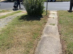 Bush Trimming by LaWanda Moses for Stephanie M. in Richmond, VA