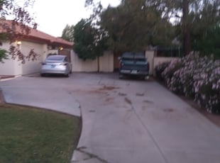 Leaf Removal by Andrew Hoodzow for Michael W. in Gilbert, AZ
