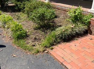 Weeding by Gonzalo A Rodriguez for Logan P. in Durham, NC