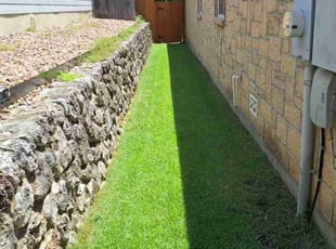 Theresa W.'s Lawn Care service result