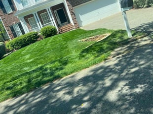 Phillip K.'s Lawn Service service result