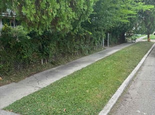 Mylanah A.'s Lawn Care service result