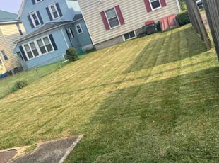 Cinnamon Z.'s Lawn Mowing service result