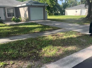 Leaf Removal by William Chavers for Jessica L. in Tampa, FL
