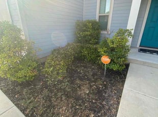 Bush Trimming by Erik de Jesรบs Prado Sanchez for Joshua A. in Leander, TX