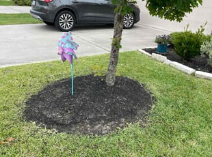 Weeding by Gerardo Marroquin for Michael B. in Conroe, TX