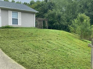 Qiong Z.'s Lawn Mowing Service service result