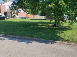 Gene A.'s Lawn Care service result