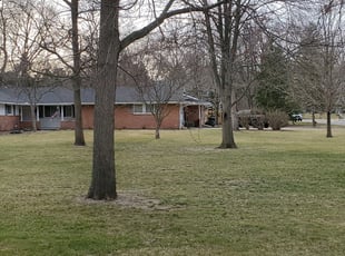 Leaf Removal by Dan Clay for Ayesha W. in Sylvania, OH