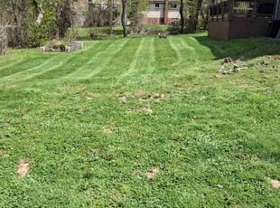 Jeffrey E.'s Lawn Mowing Service service result