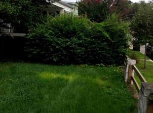 Bush Trimming by Tyrone Wilkins for James W. in Riverdale Park, MD