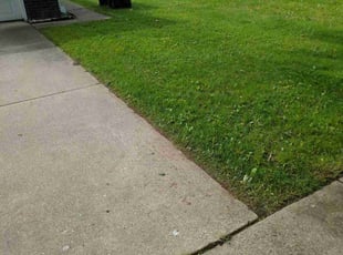 Luis H.'s Lawn Care service result