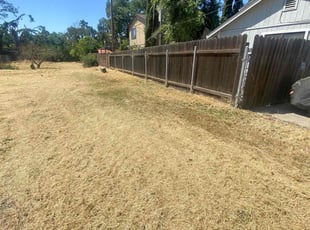 Cleanups by Uriel Aldrete for Lynne V. in Carmichael, CA