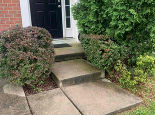 Bush Trimming by Scott Source for Lena D. in Randallstown, MD