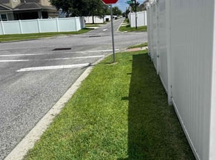 Bush Trimming by Jerry Merus for Tommy D. in Orlando, FL