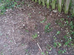 Cleanups by Joseph Iles for Keyur J. in Cincinnati, OH