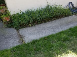 Cleanups by Joshua Muehe for Tamara L. in Antelope, CA