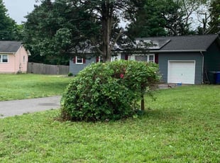 Bush Trimming by Abigail Soriano for Bernice W. in Toms River, NJ