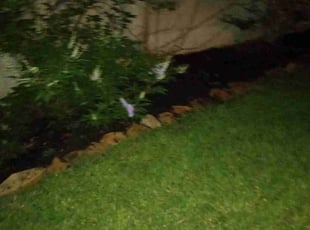 Mulching by Quashell Gumbs for Sarah S. in League City, TX
