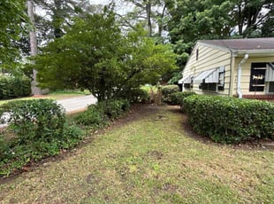 Bush Trimming by Steven Moreira for Patrick H. in Virginia Beach, VA