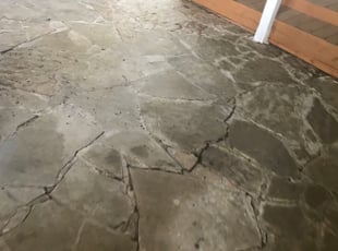 Cleanups by Juan Uribe for Dakota M. in Dallas, TX