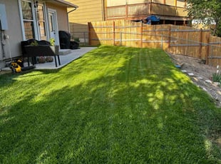 Maryann W.'s Lawn Service service result