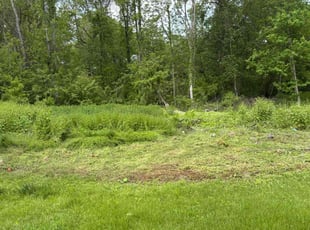 Weeding by Jennifer Lopez for Phylis H. in Windsor, CT