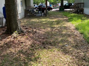 Leaf Removal by Dana Celeste for Latoya S. in Summerville, SC
