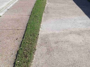 Allen O.'s Yard Cutting service result