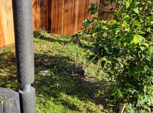 Cleanups by Joshua Muehe for Alexandria D. in Sacramento, CA