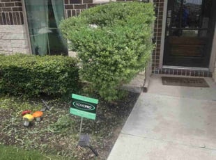 Bush Trimming by Victor Cortes for Brooke G. in Leander, TX