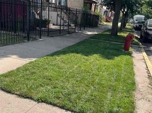 Wanda F.'s Yard Cutting service result