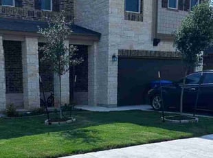 Yong Z.'s Grass Cutting service result