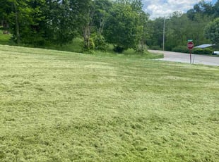 Clarise S.'s Lawn Mowing Service service result