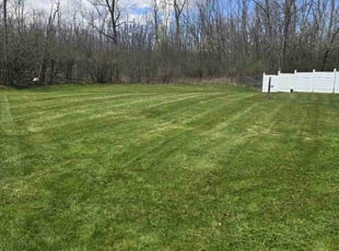 steve w.'s Lawn Service service result
