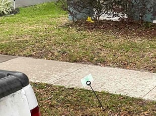 Bush Trimming by Joseph Grasso for Jonathan J. in Orlando, FL