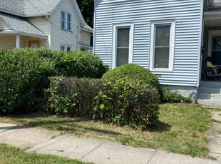 Bush Trimming by Robert Campbell for Mae C. in Rochester, NY