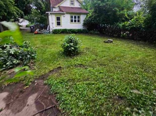 Cleanups by Natatia Frame for Mary P. in Saint Paul, MN