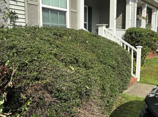 Bush Trimming by Eric Syphertt for Kevin A. in West Columbia, SC