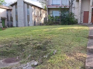 Richard L.'s Lawn Care service result