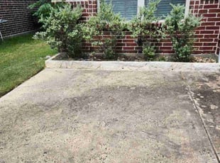 Weeding by Noheli Diaz for subhas P. in Colleyville, TX