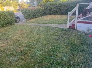 Bush Trimming by Titus Hayes for Nikita F. in Richmond, VA