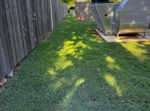 Ryan H.'s Lawn Mowing service result
